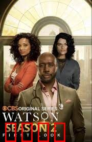 华生第二季：迷雾再起