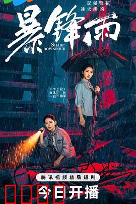 暴锋雨：暗夜对决