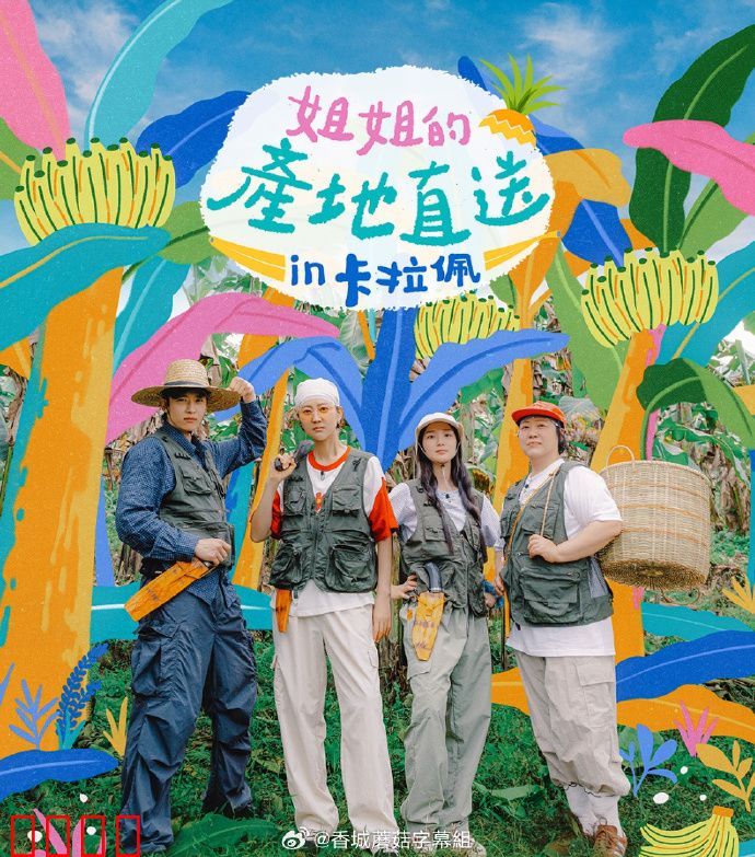 姐姐家的产地直送3：情迷乡间