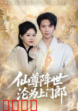 仙尊降世沦为上门郎：逆袭风云