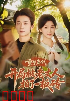 重生年代开局被老丈人拍了一板砖：翻身记