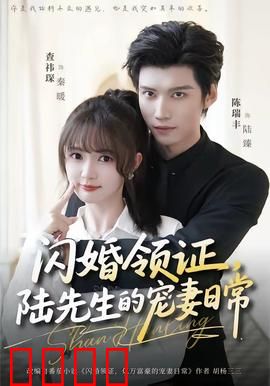 闪婚领证，陆先生的宠妻日常：甜到窒息