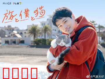 旅行和我和猫：治愈系旅程