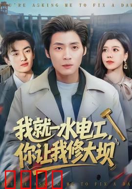 我就一水电工，你让我修大坝：逆袭修大坝