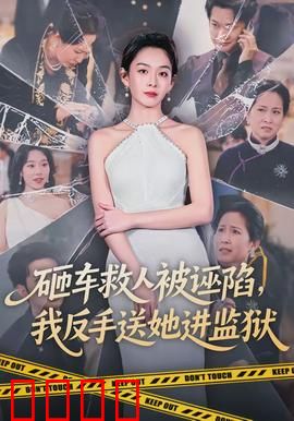 砸车救人被诬陷，我反手送她进监狱：正义永不缺席