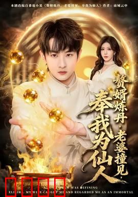 赘婿炼丹，老婆撞见，奉我为仙人：废婿逆袭记