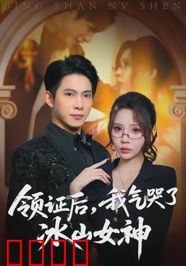 领证后，我气哭了冰山女神：先婚后爱