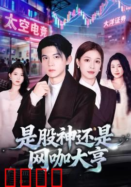 是股神还是网咖大亨：财富迷局