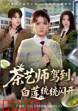 茶艺师驾到白莲统统闪开：反套路鉴茶高手
