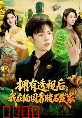 拥有透视后，我在缅国靠赌石发家：血泪暴富路