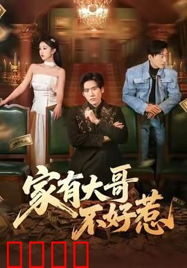 《大哥归来：快意恩仇》