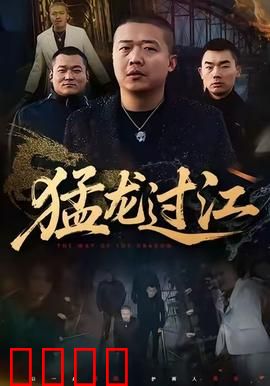 猛龙过江：功夫对决罗马