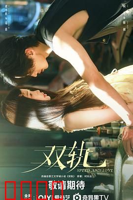 双轨：电子鸟复仇记