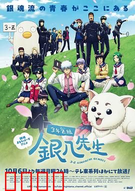 3年Z组银八老师：不正经教师传奇