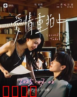 爱情重拍中：导演的甜蜜陷阱