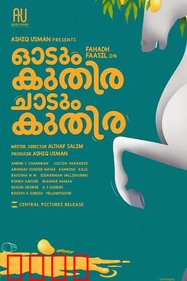 一匹马奔跑，一匹马跳跃：双马命运