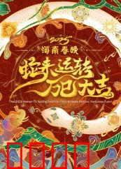 2025河南春晚：豫见中国年