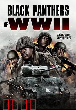 二战黑豹：钢铁对决