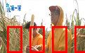 台湾第一等：秘境探索