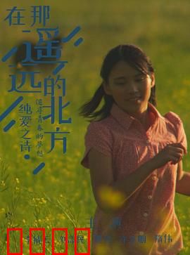 在那遥远的北方：冰原守护者