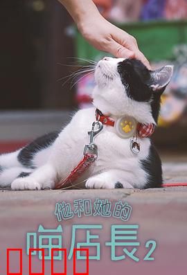 他和她的喵店长2：萌猫再临