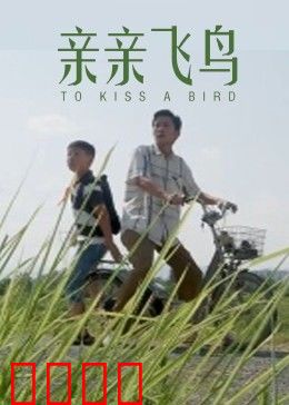 亲亲飞鸟：情书缘