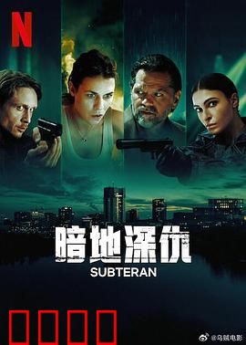 暗地深仇：复仇之谜