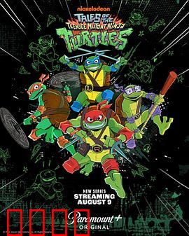 新忍者神龟：暗夜出击