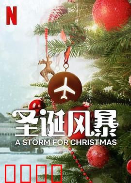 圣诞风暴：暖心归途
