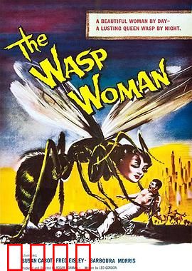 黄蜂女：量子救援
