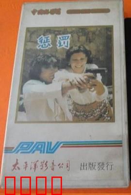 惩罚1980：血腥复仇
