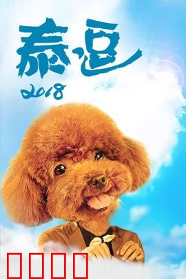 泰逗2018：囧途奇遇记