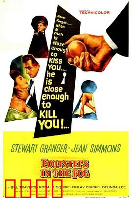 雾夜足音：迷雾中的真相