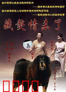 藏獒情未了：人狗奇缘
