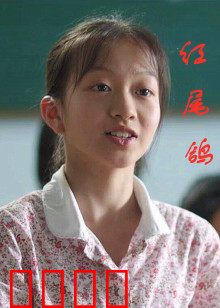 红尾鸽：最后一封信
