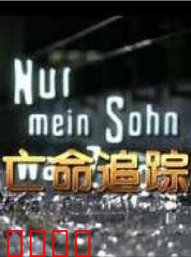 亡命追踪：暗夜猎杀