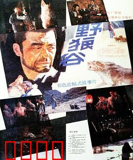 野狼谷：绝境求生
