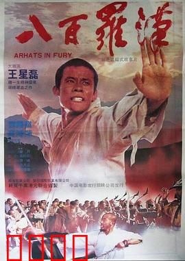 八百罗汉：少林武僧血战倭寇