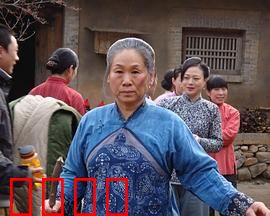 野茱萸：最后的守望