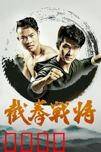 截拳战将：复仇之战