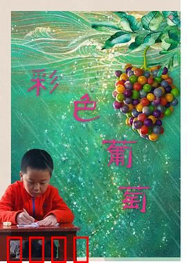 彩色葡萄：追寻彩虹的甘甜