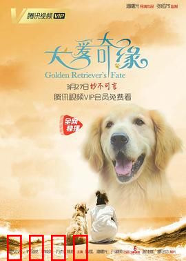 犬爱奇缘：跨越物种的约定