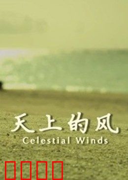 天上的风：追寻自由的代价