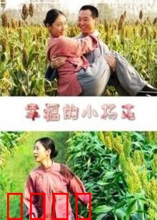 幸福的小杨屯：返乡创业记