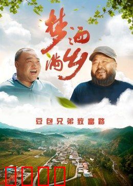 梦洒满乡：故土新梦