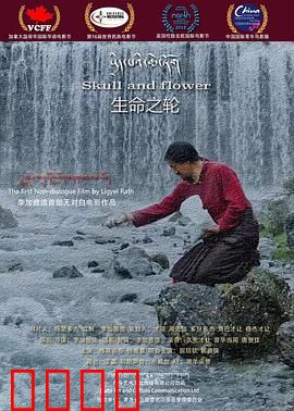 生命之轮：破解轮回密码