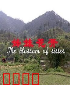 姊妹花开：血色姐妹花