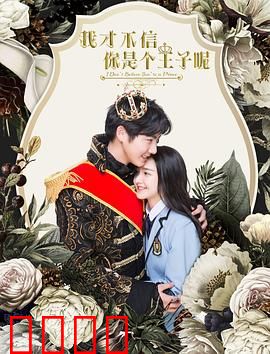 我才不信你是个王子呢：真假王子奇遇记