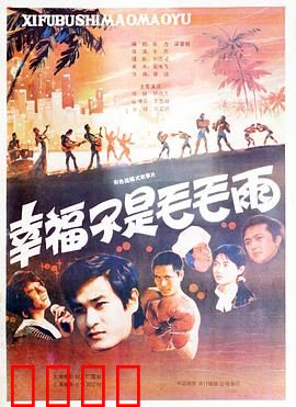 幸福不是毛毛雨：平凡人的幸福