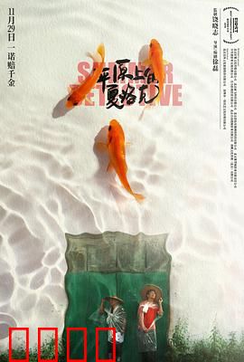平原上的夏洛克：土味侦探